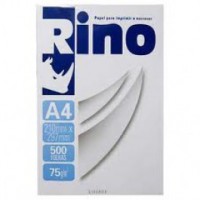 /album/promo%c3%a7%c3%b5es/a4-rino-jpg/